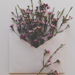 Ein Briefumschlag, aus dem Blumen wachsen