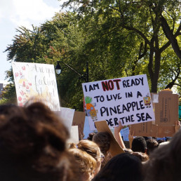 Klimaprotest - Menschen marschieren und halten ein Schild hoch mit der Aufschrift: I am not ready to live in a pineapple under the sea.