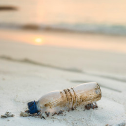 Eine leeere, schmutzige Plastikflasche liegt auf weißem Sand